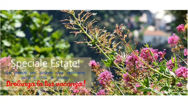 Speciale estate!